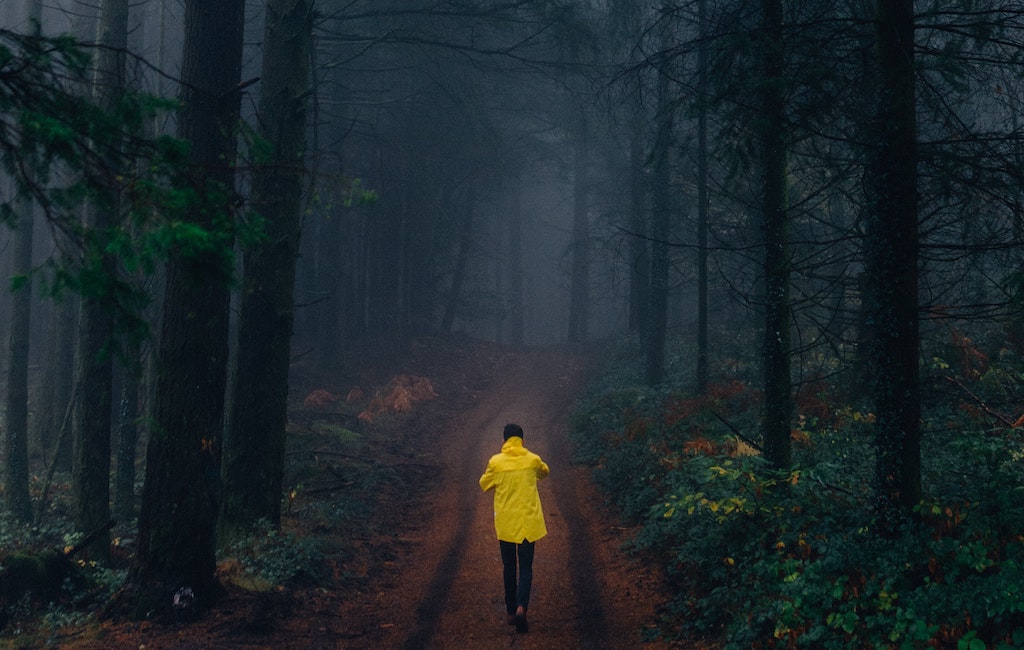 Three Reasons To Take A Walk In The Woods For Brain Health – Kwik Learning